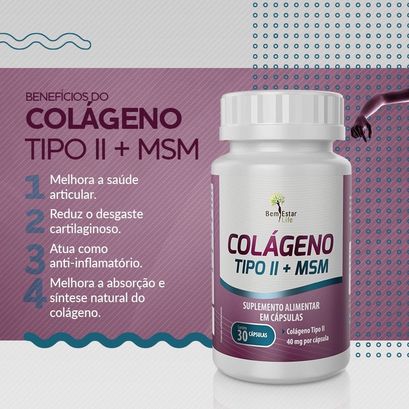 COLAGENO  TIPO II + MSM